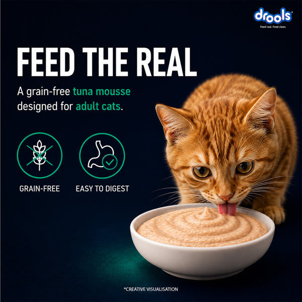 Drools Tuna Mousse Adult Cat Wet Food