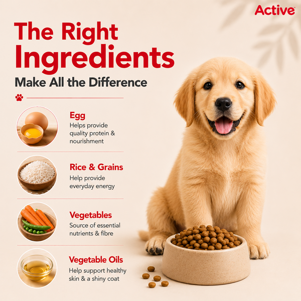 Active Chicken and Vegetables Puppy Dog Dry Food (Buy 1 Get 1)
