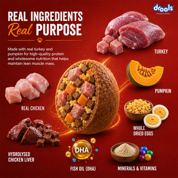 Drools Turkey and Pumpkin Adult Dog Dry Food