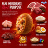 Drools Lamb and Rice Adult Dog Dry Food Dogs- Dry Food Drools