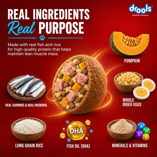 Drools Fish and Rice Adult Dog Dry Food