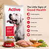 Active Chicken and Vegetables Adult Dog Dry Food (Buy 1 Get 1) Dogs- Dry Food Active