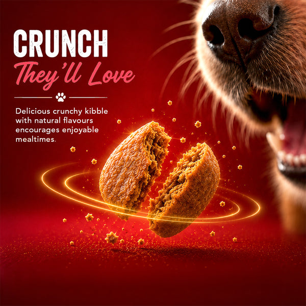 Drools Lamb and Rice Adult Dog Dry Food