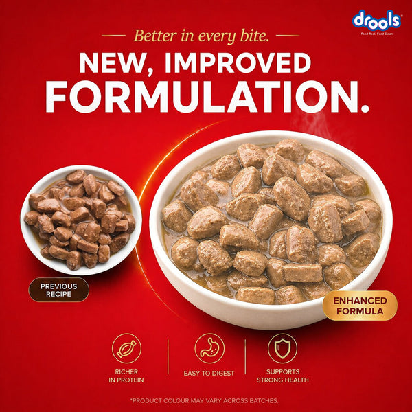 Drools Real Chicken & Chicken Liver Chunks in Gravy Adult Dog Wet Food (60g)