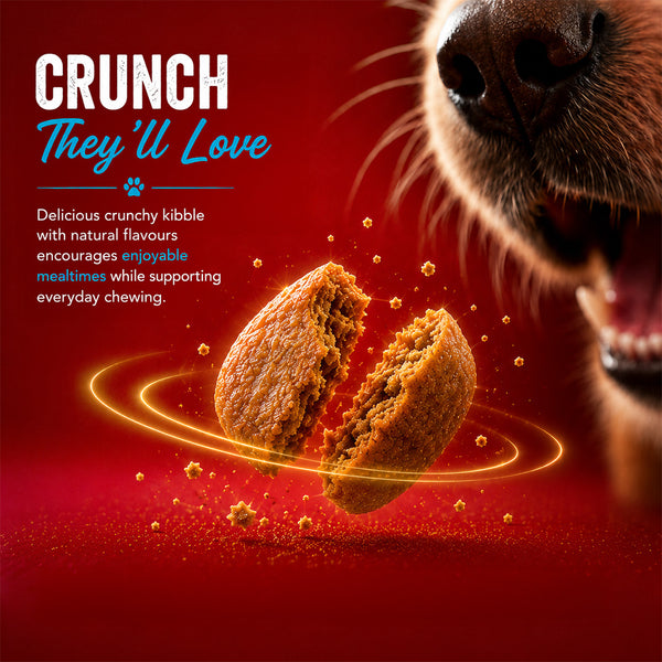 Drools Fish and Rice Adult Dog Dry Food