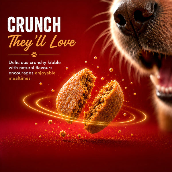 Drools Turkey and Pumpkin Adult Dog Dry Food