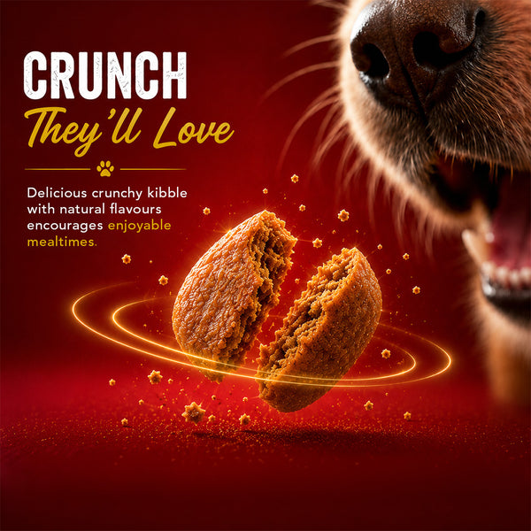 Drools Chicken and Egg Adult Dog Dry Food