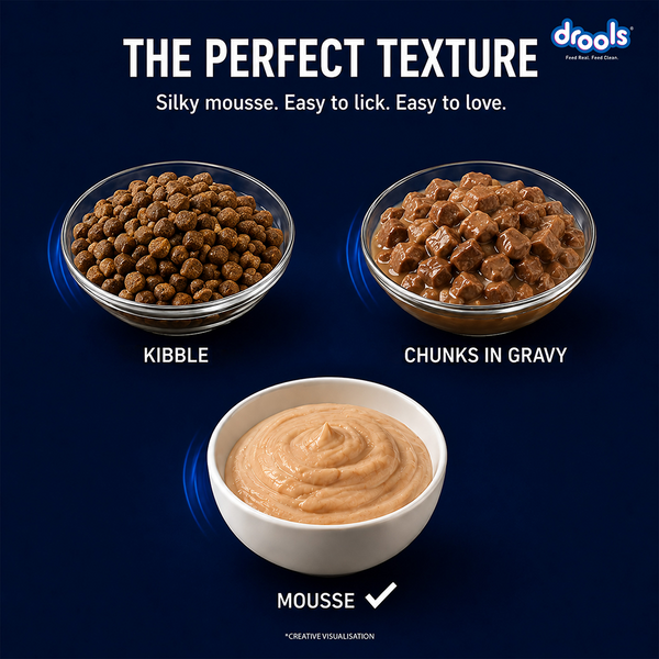 Drools Ocean Fish Mousse Kitten Cat Wet Food