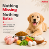 Active Chicken and Vegetables Puppy Dog Dry Food (Buy 1 Get 1) Dogs- Dry Food Active