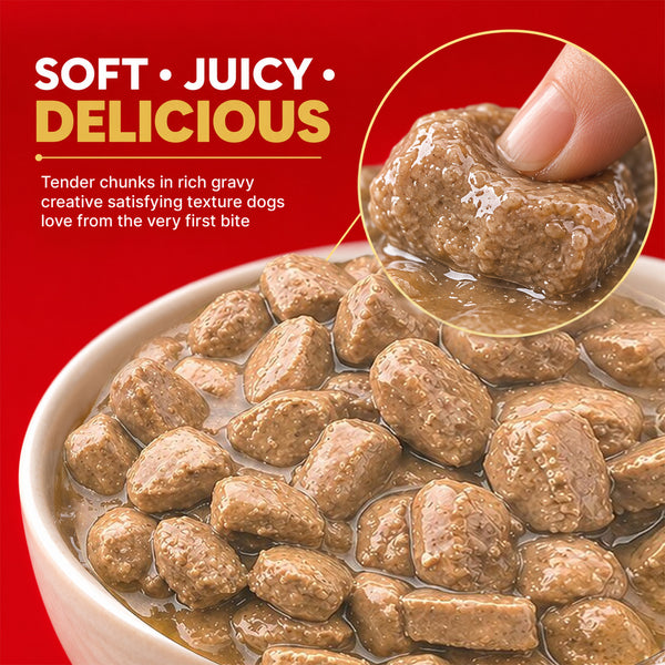 Drools Real Chicken & Chicken Liver Chunks in Gravy Adult Dog Wet Food (60g)