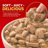 Drools Real Chicken & Chicken Liver Chunks in Gravy Adult Dog Wet Food (60g) Dogs-Wet Food Drools