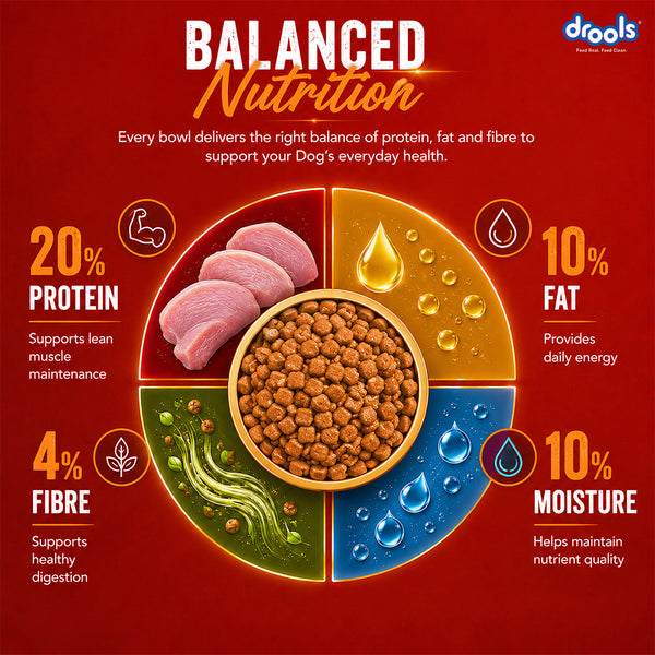 Drools Turkey and Pumpkin Adult Dog Dry Food