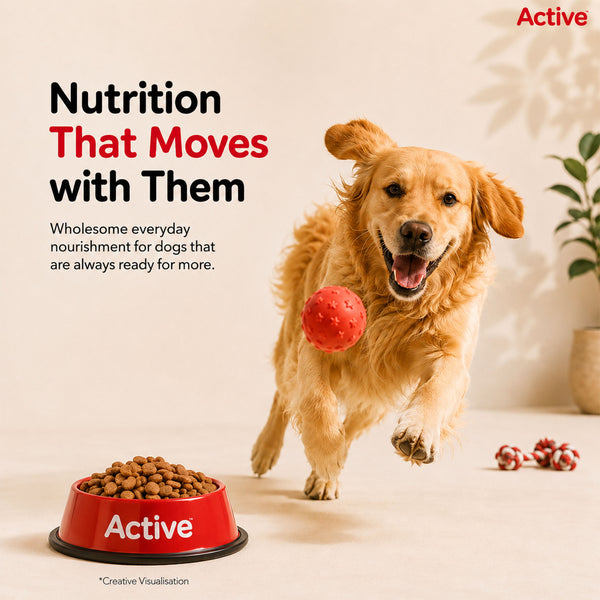 Active Chicken and Vegetables Adult Dog Dry Food (Buy 1 Get 1)