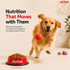 Active Chicken and Vegetables Adult Dog Dry Food (Buy 1 Get 1) Dogs- Dry Food Active