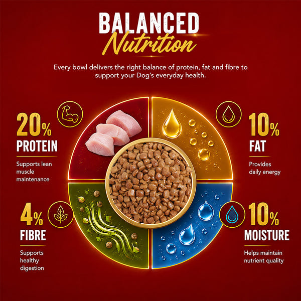 Drools Chicken and Egg Adult Dog Dry Food