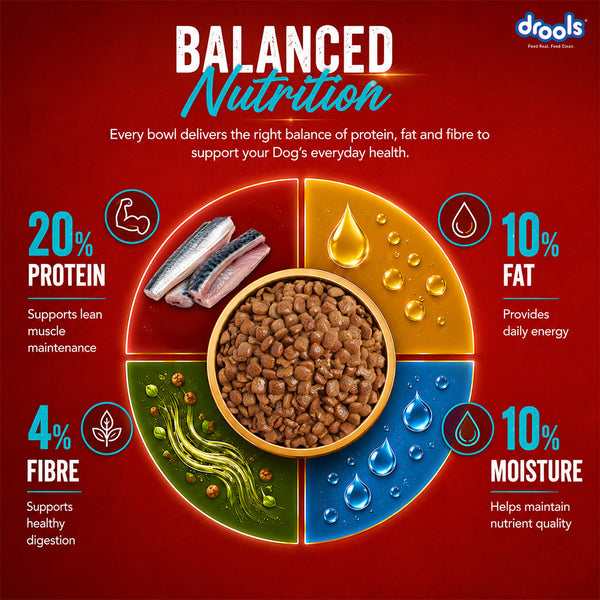 Drools Fish and Rice Adult Dog Dry Food