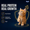 Drools Chicken Mousse Kitten Cat Wet Food Cats-Wet Food Drools