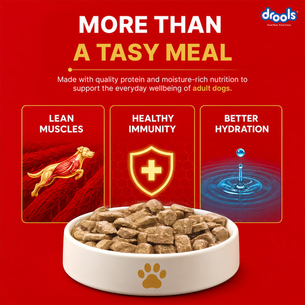 Drools Real Chicken & Chicken Liver Chunks in Gravy Adult Dog Wet Food (60g)