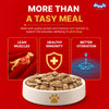 Drools Real Chicken & Chicken Liver Chunks in Gravy Adult Dog Wet Food (60g) Dogs-Wet Food Drools