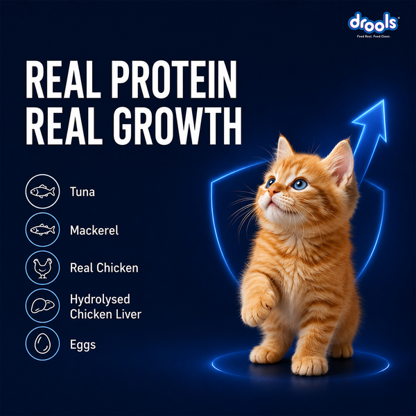 Drools Ocean Fish Mousse Kitten Cat Wet Food