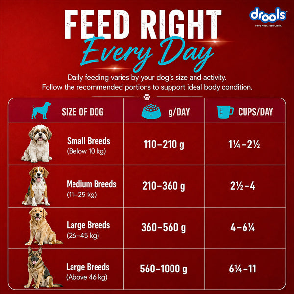 Drools Fish and Rice Adult Dog Dry Food