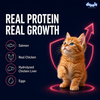 Drools Salmon Mousse Kitten Cat Wet Food Cats-Wet Food Drools