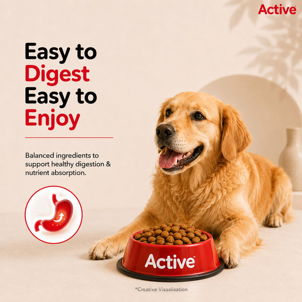 Active Chicken and Vegetables Adult Dog Dry Food (Buy 1 Get 1)