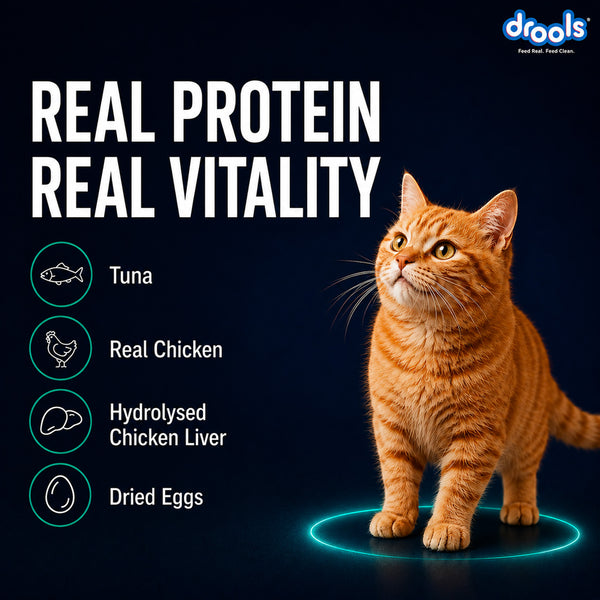 Drools Tuna Mousse Adult Cat Wet Food