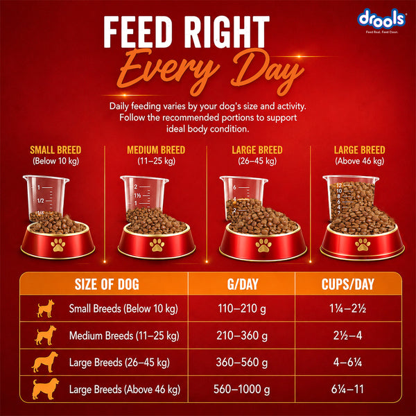 Drools Turkey and Pumpkin Adult Dog Dry Food