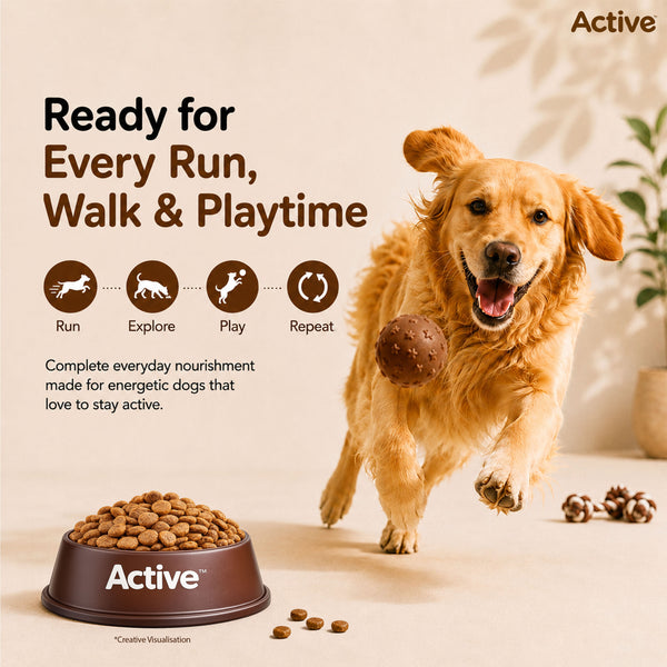 Active Meat and Rice Adult Dog Dry Food (Buy 1 Get 1)