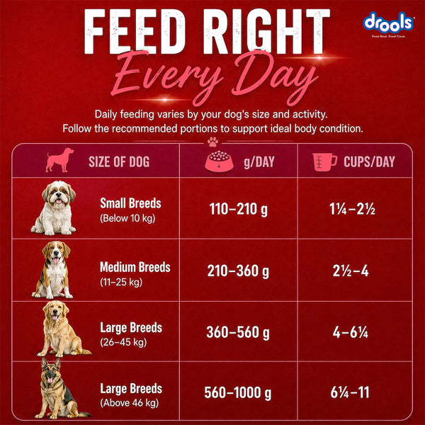 Drools Lamb and Rice Adult Dog Dry Food