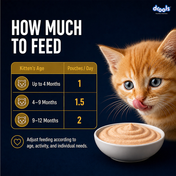 Drools Chicken Mousse Kitten Cat Wet Food