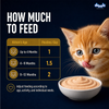 Drools Chicken Mousse Kitten Cat Wet Food Cats-Wet Food Drools