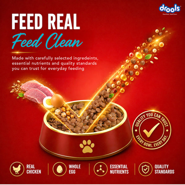 Drools Fish and Rice Adult Dog Dry Food