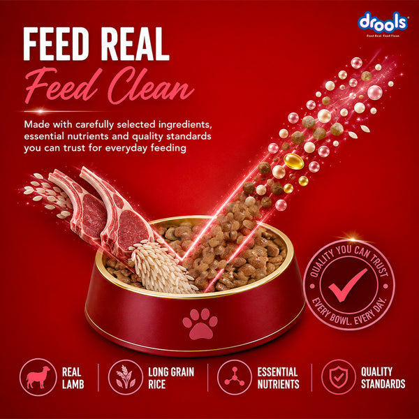 Drools Lamb and Rice Adult Dog Dry Food