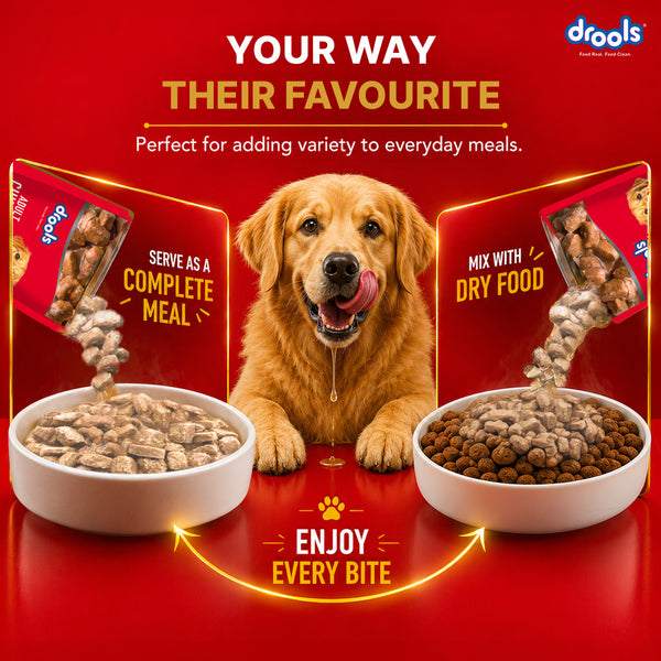 Drools Real Chicken & Chicken Liver Chunks in Gravy Adult Dog Wet Food (60g)