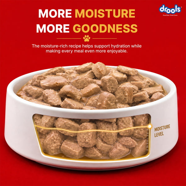 Drools Real Chicken & Chicken Liver Chunks in Gravy Adult Dog Wet Food (60g)
