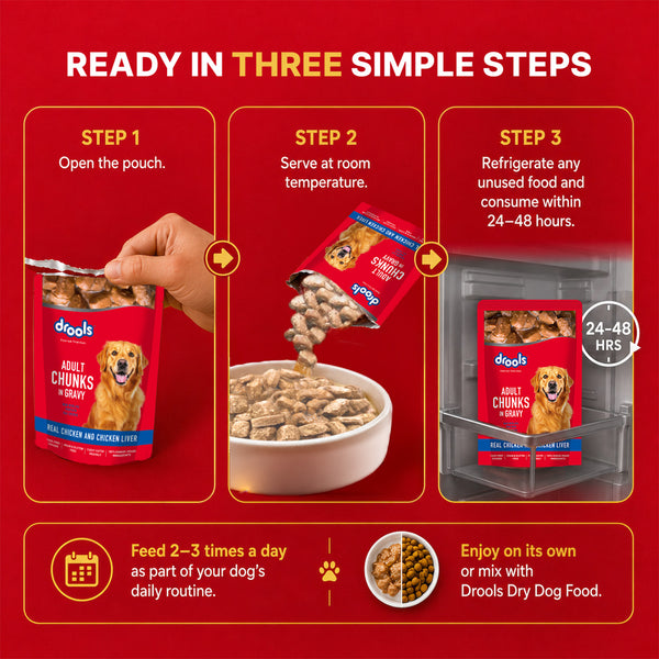 Drools Real Chicken & Chicken Liver Chunks in Gravy Adult Dog Wet Food (60g)