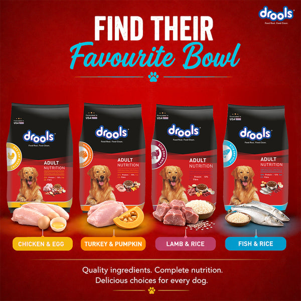 Drools Fish and Rice Adult Dog Dry Food