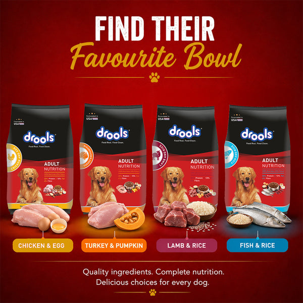 Drools Chicken and Egg Adult Dog Dry Food