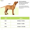 Boss Core Walk Collar for Dogs (Jet Black) Dogs-Collar, Leashes, harnesses Boss Dropship