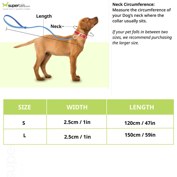 Boss Core Walk Leash for Dogs (Sandily Yellow)