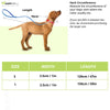 Boss Core Walk Leash for Dogs (Sandily Yellow)