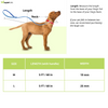 TopDog Premium Leaves Printed Nylon Leash for Dogs (Pink)