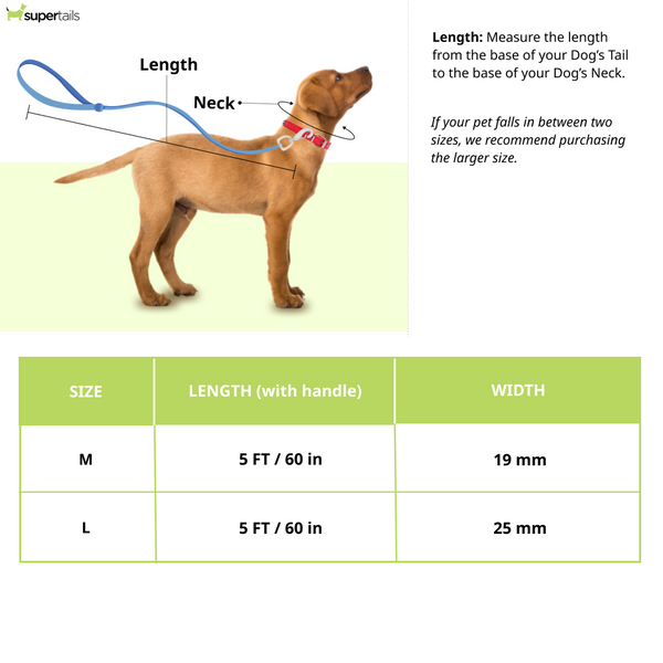 TopDog Premium Leaves Printed Nylon Leash for Dogs (Green)