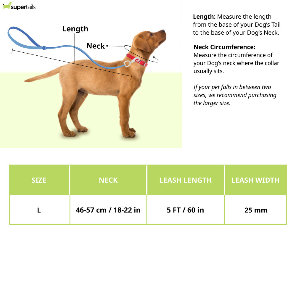 TopDog Premium Leaves Printed Nylon Leash & Collar Set for Dogs (Green)