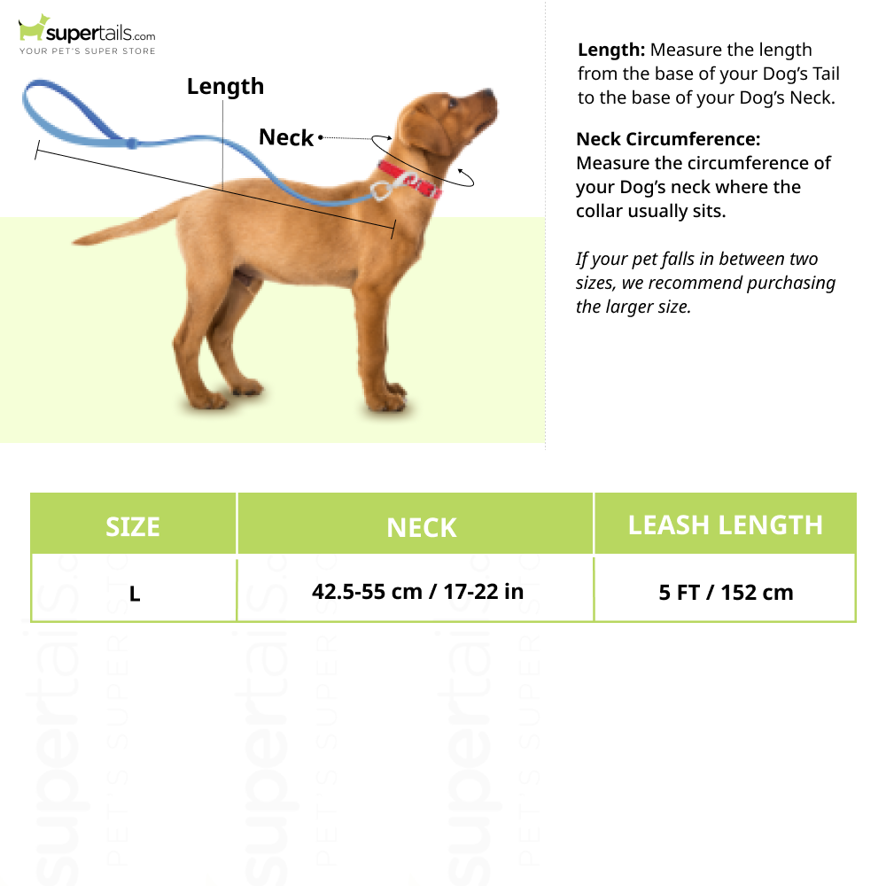 TopDog Premium Nylon Collar and Leash Set for Dogs (Red) Dogs-Collar, Leashes, harnesses TopDog Premium Dropship