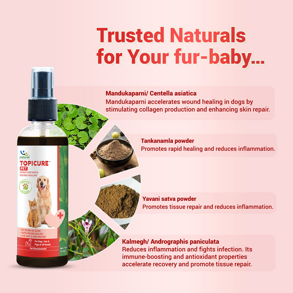 Natural Remedies Topicure Pet Wound Healing Spray for Dogs and Cats