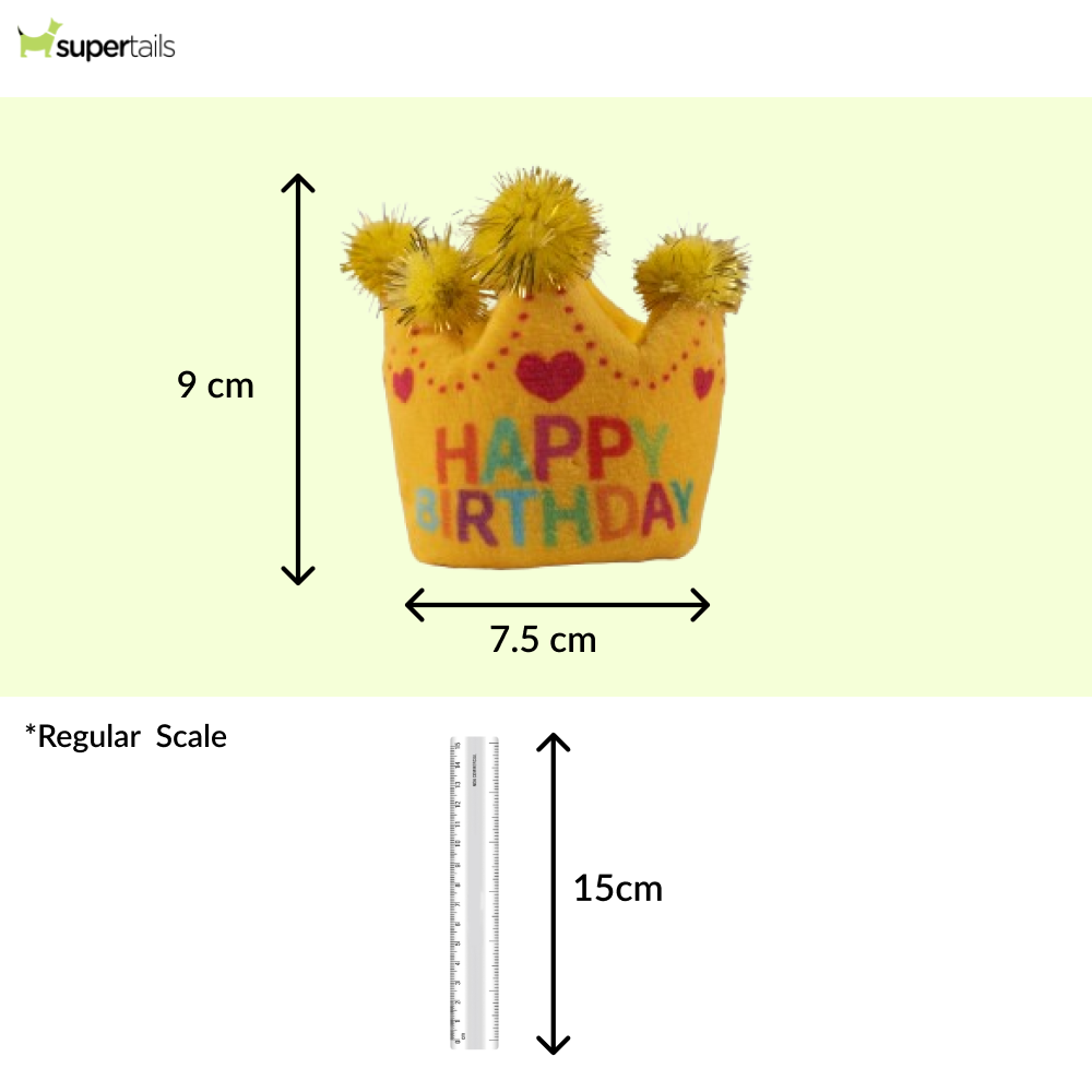 Barkbutler x Fofos Birthday Crown Catnip Toy for Cats Cats-Toys Barkbutler
