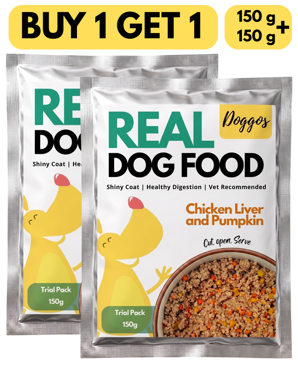 Doggos Chicken and Pumpkin Real Fresh Dog Wet Food (150g)